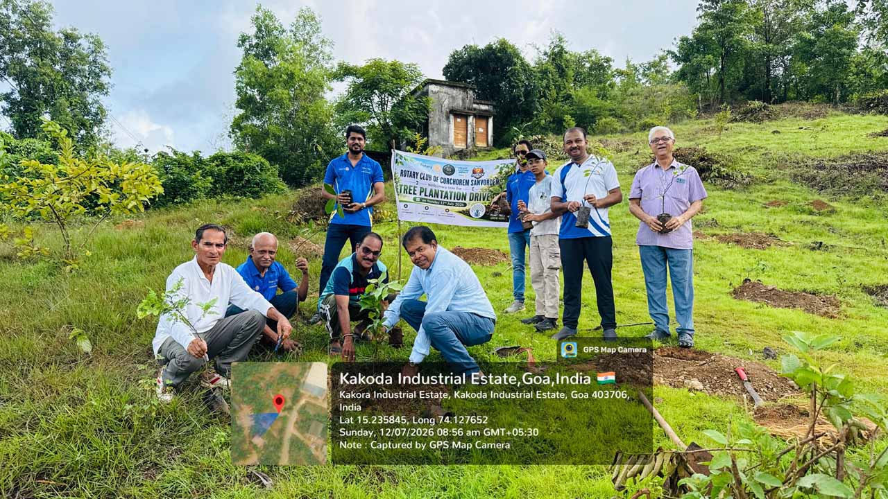 Tree Plantation 2026